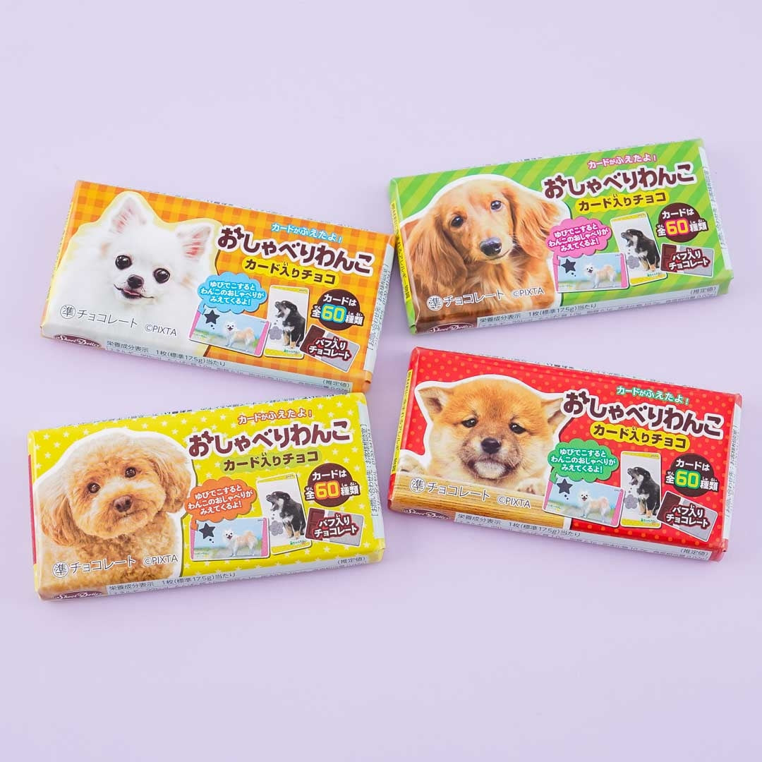 Talking Wanko Crunch Chocolate Bar – Japan Candy Store