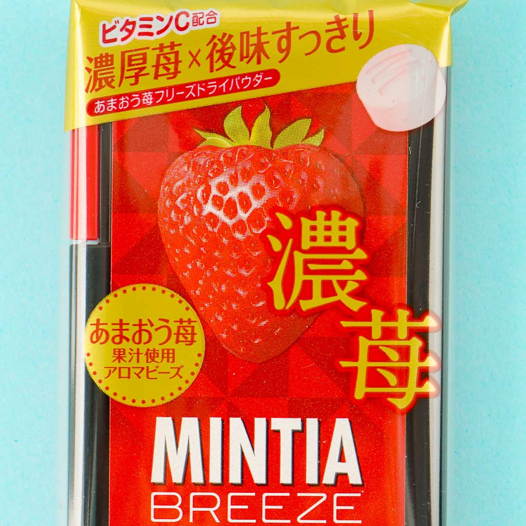 Mintia Japanese Mints & Candy – Japan Candy Store