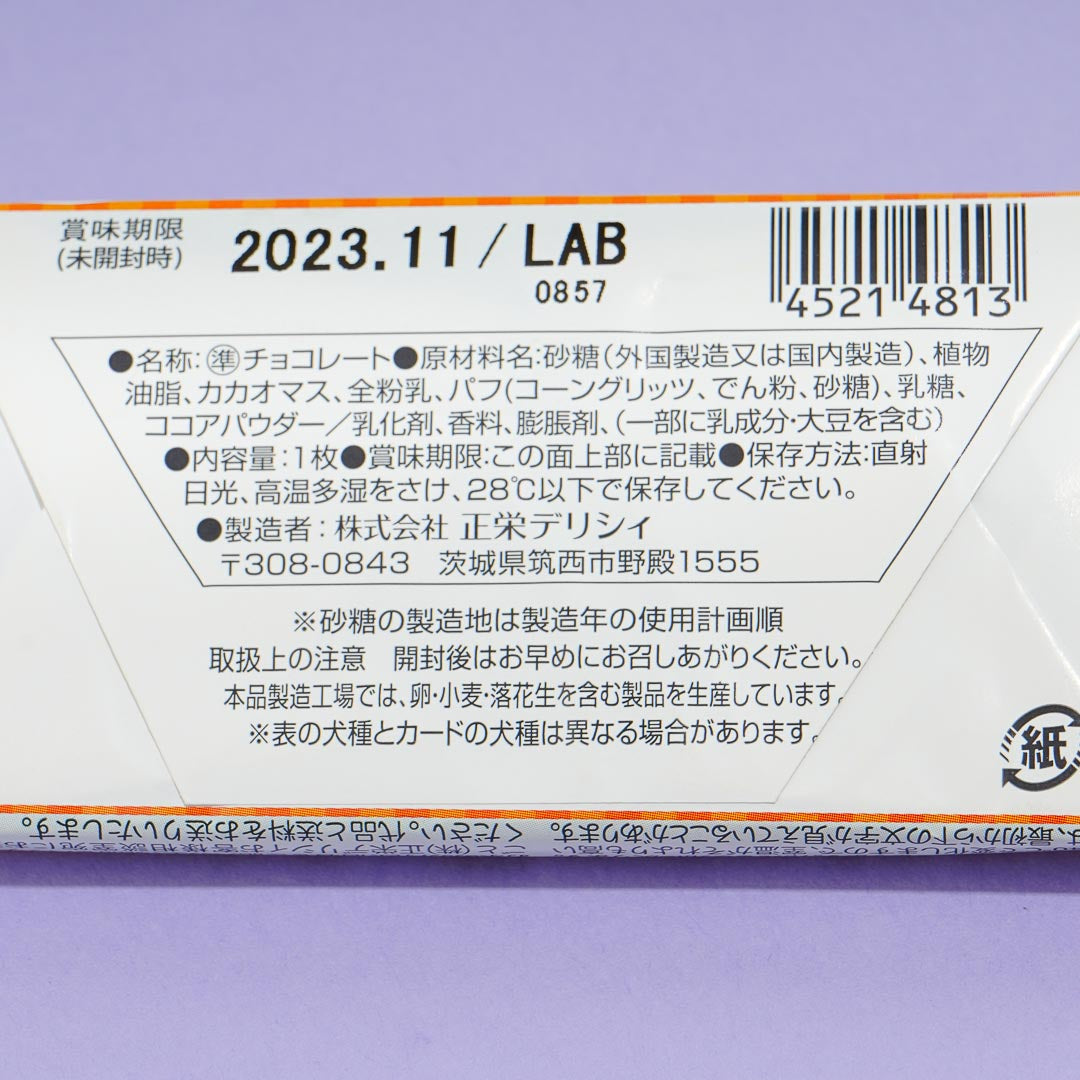 Talking Wanko Vol. 2 Crunch Chocolate Bar – Japan Candy Store