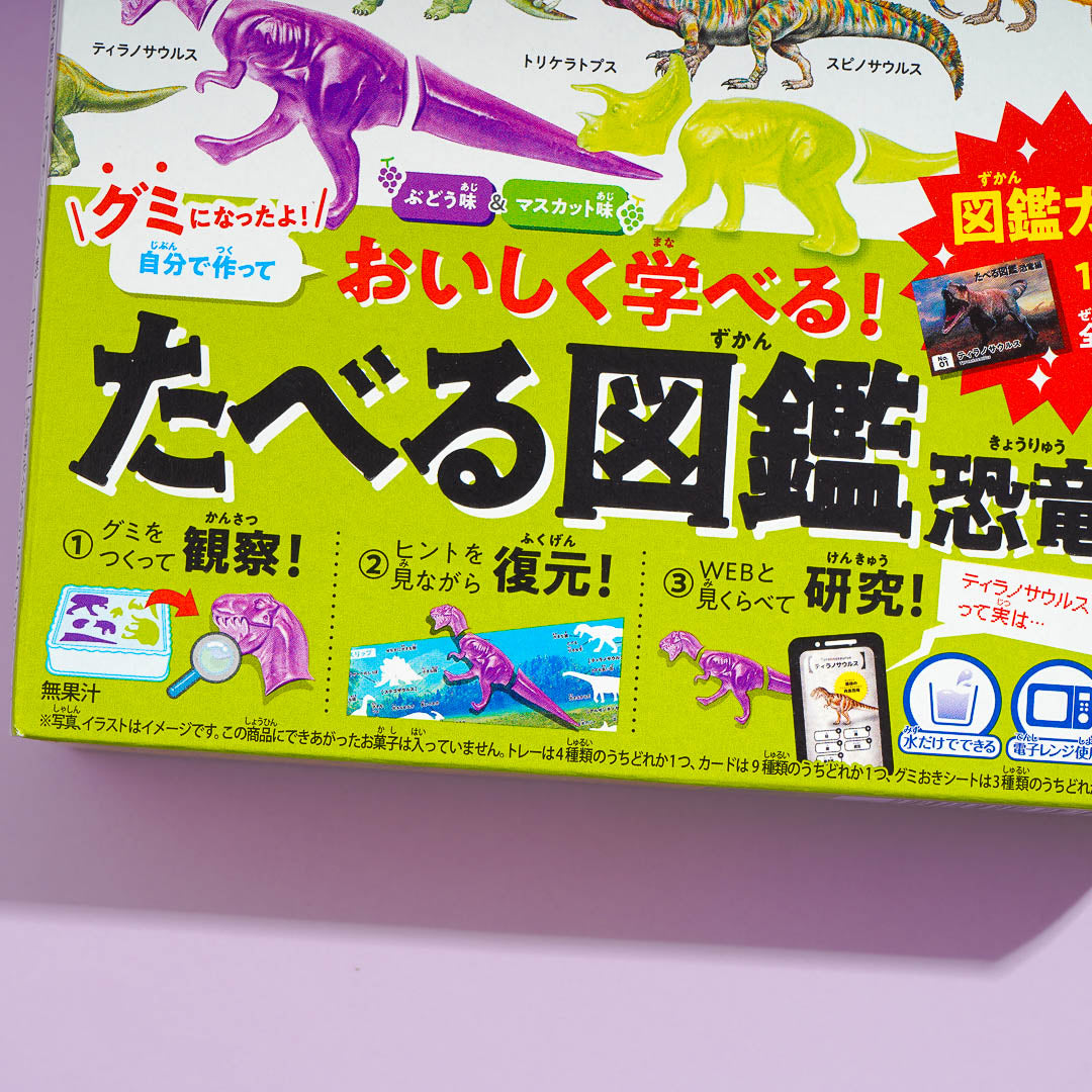 Kracie Eating Encyclopedia DIY Candy Kit - Dinosaurs – Japan Candy