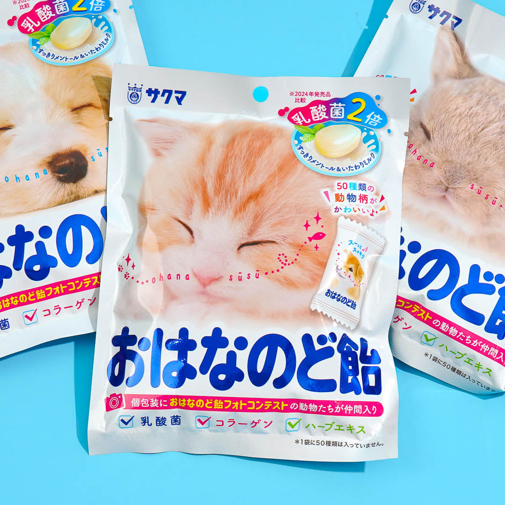 Japanese Mints Mintia Japanese Mints & Candy – Japan Candy Store
