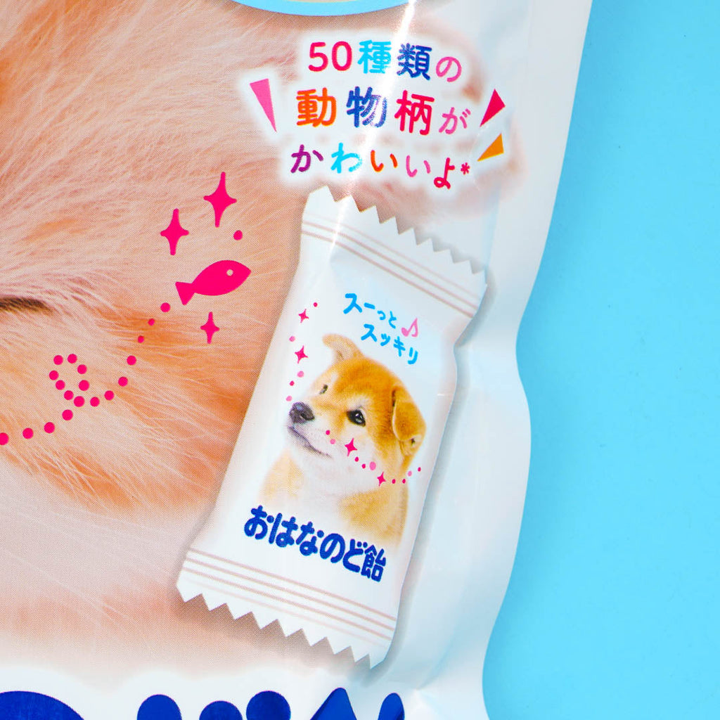 Japanese Mints Mintia Japanese Mints & Candy – Japan Candy Store